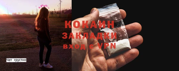 гидра Магас