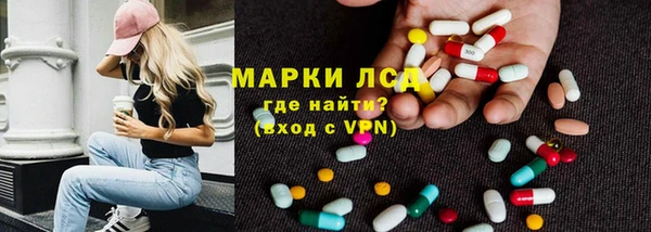гидра Магас