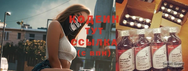 гидра Магас