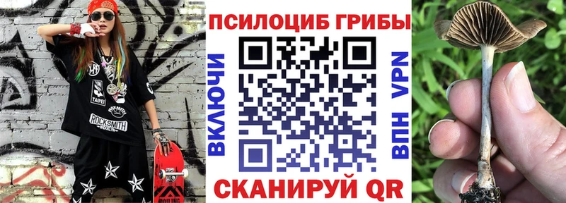 Галлюциногенные грибы мицелий  как найти закладки  Сосновый Бор 