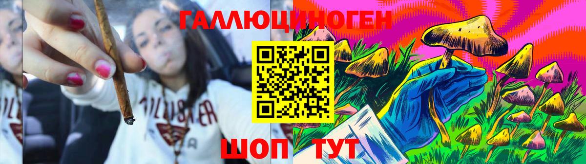 Псилоцибиновые грибы ЛСД Сосновый Бор