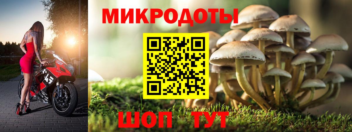 Псилоцибиновые грибы Cubensis  Псилоцибиновые грибы Magic Shrooms  Вход с VPN  Сосновый Бор 