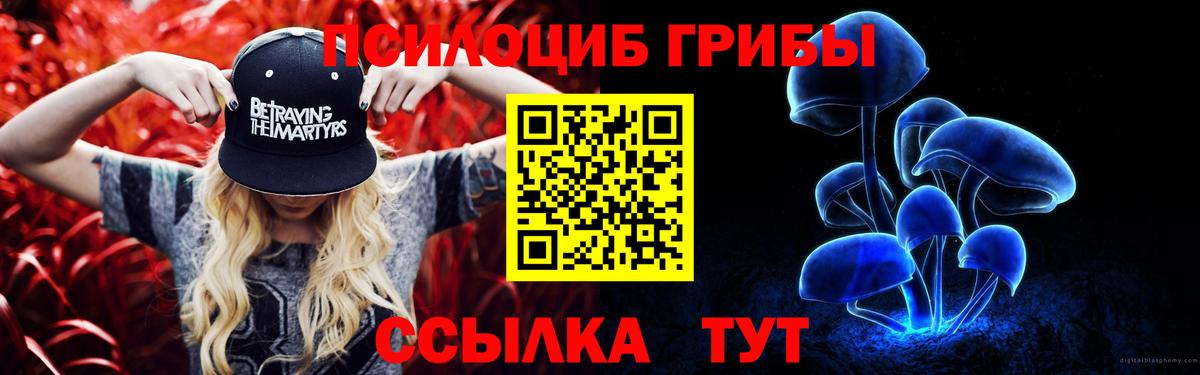 Галлюциногенные грибы прущие грибы  Сосновый Бор  Галлюциногенные грибы GOLDEN TEACHER 