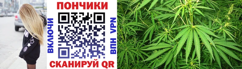 МЕГА зеркало  наркота  дарк нет состав  Шишки марихуана AK-47  Сосновый Бор 